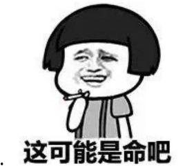 娱乐吃瓜酱被骗10块钱,揭秘网络诈骗背后的真相  第3张